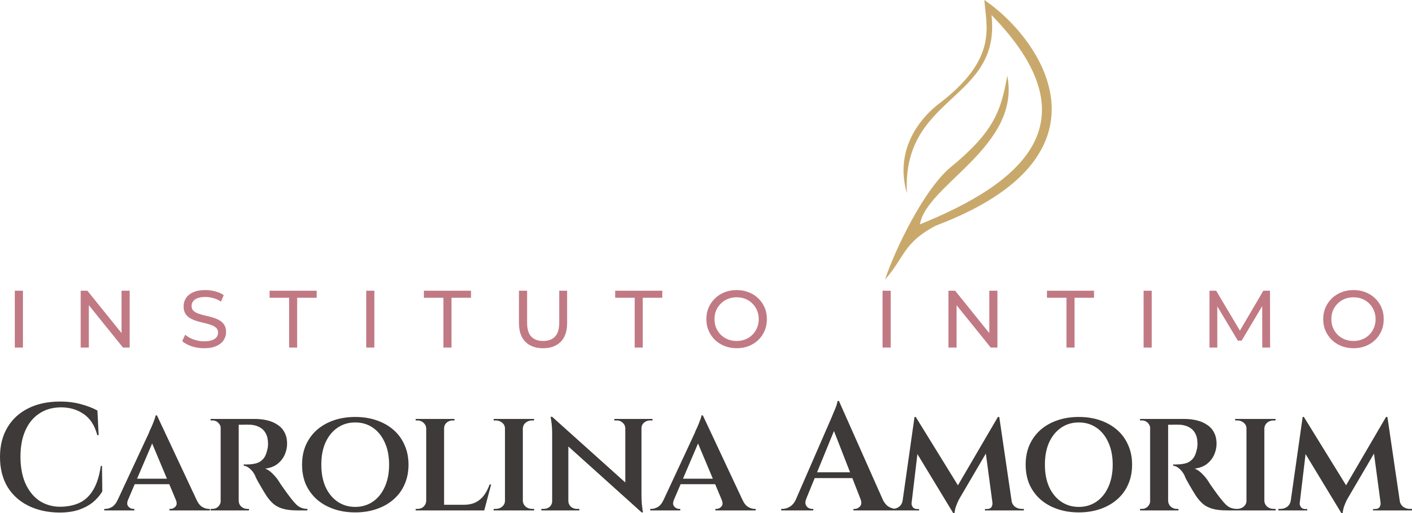Instituto Íntimo Carolina Amorim